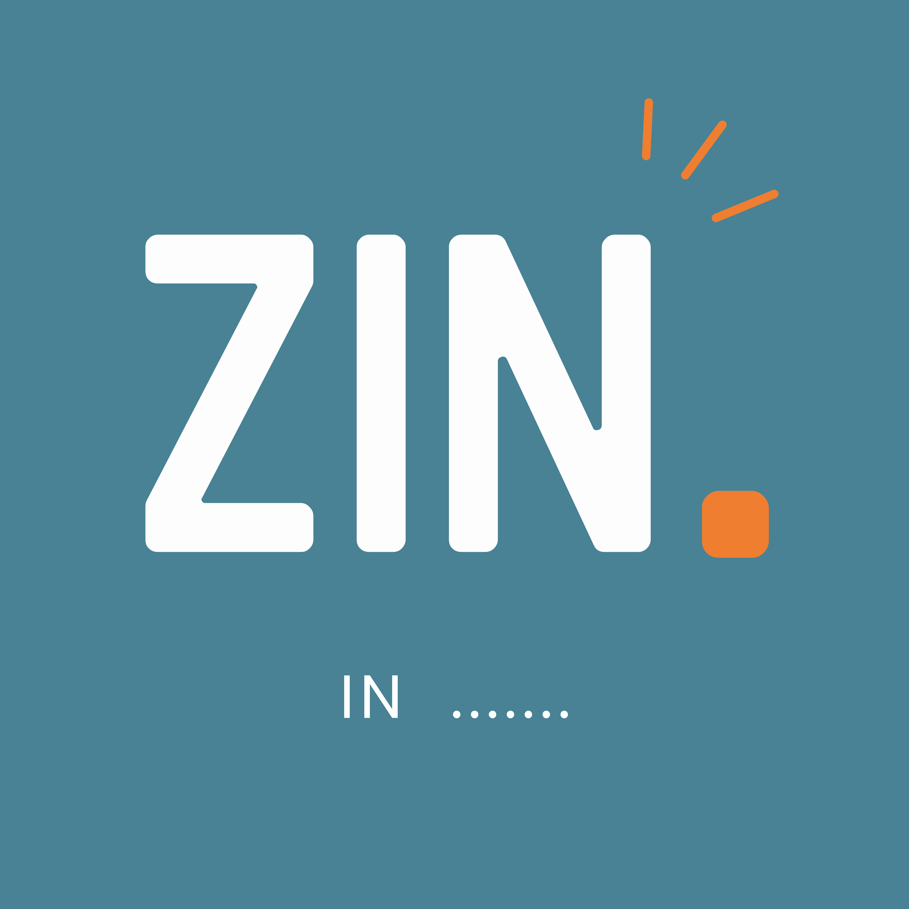 ZIN. in jouw thema